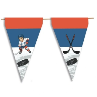 Paper garland Hockey dream 3 m